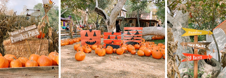 Some of the decor at the Irvine Park Railroad Pumpkin Patch.