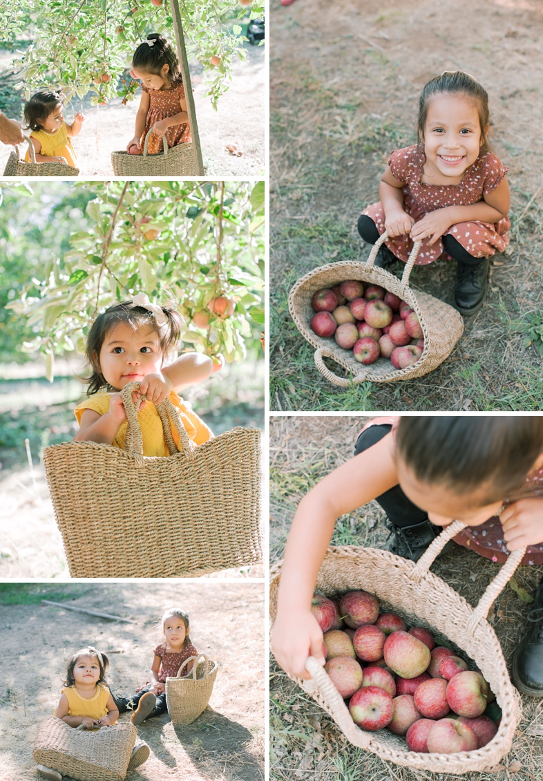 Little girls picking their apples with their baskets.